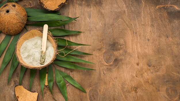 Pó em casca de coco com espaço de cópia