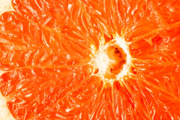 Polpa de toranja laranja close-up