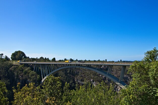 Ponte cercada por vegetação sob o céu claro no Parque Nacional Garden Route