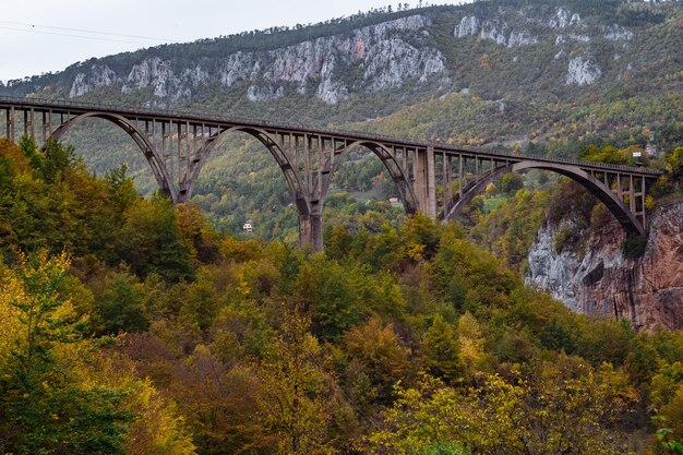 Ponte de arco Durdevica Tara nas montanhas do outono Montenegro