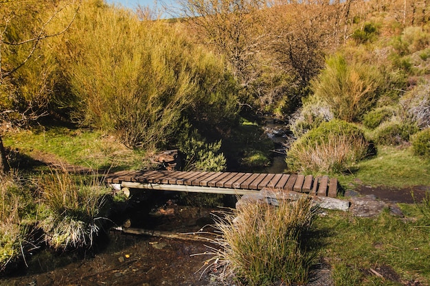 Ponte de madeira sobre o rio pequeno