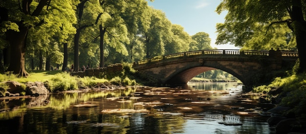 Ponte de pedra sobre o rio no parque com árvores verdes e arbustos