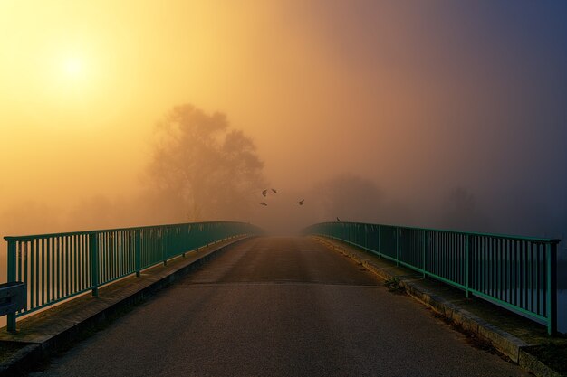 Ponte marrom e verde durante o pôr do sol