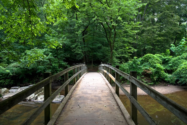 Foto grátis ponte no parque