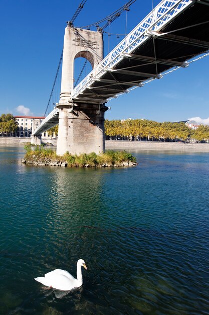 Ponte pedonal e cisne no rio Ródano na cidade de Lyon