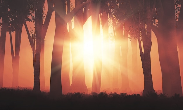 Foto grátis pôr do sol na floresta com tons alaranjados