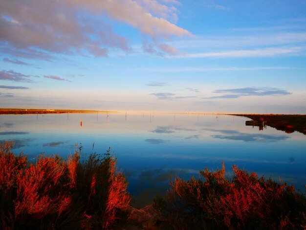 Pôr do sol na lagoa no outono no sul da França