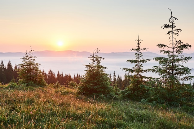 Pôr do sol na paisagem de montanhas. Céu dramático. Cárpatos da Ucrânia, Europa.