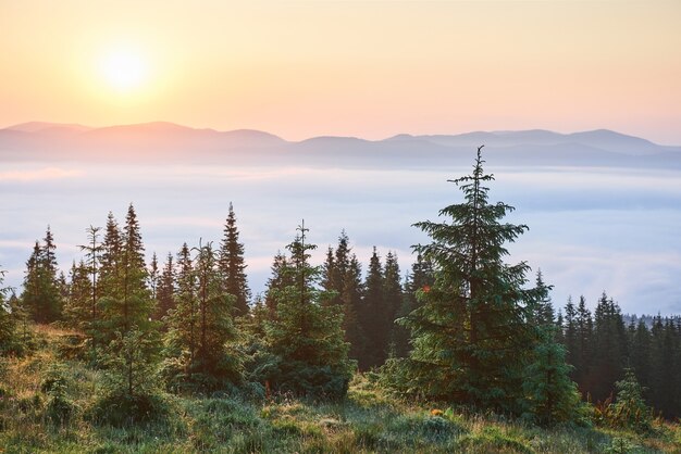 Pôr do sol na paisagem de montanhas. Céu dramático. Cárpatos da Ucrânia, Europa.