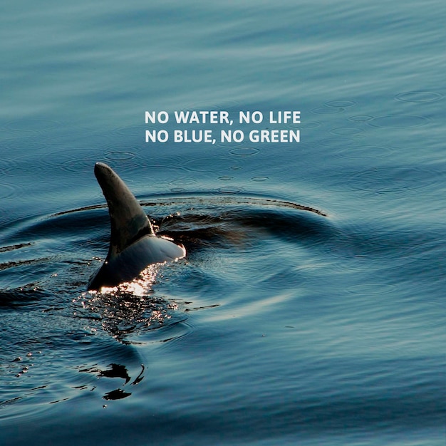 Postagem de conscientização sobre poluição do oceano por plástico