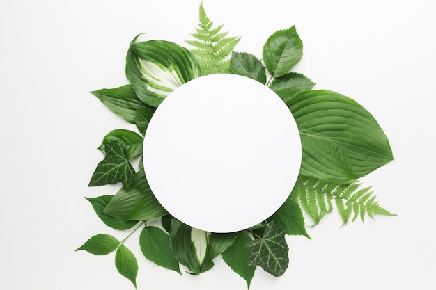 Postura plana do conceito de quadro de folhas com espaço de cópia