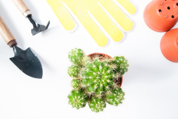 Foto grátis pot of cactus e ferramentas de jardim isoladas no fundo branco