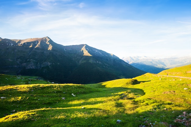 Prado das montanhas no pirenéus no verão