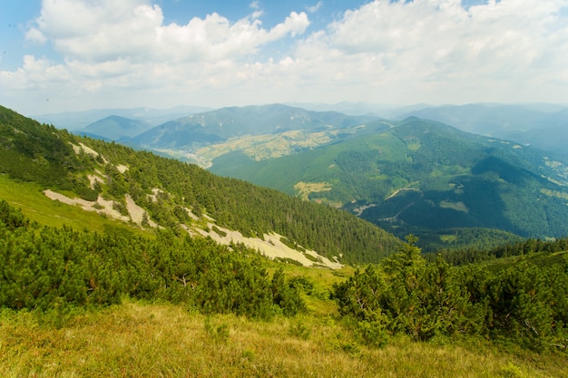 Foto grátis prados bonitos nas montanhas