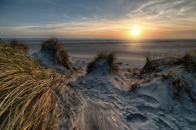 Praia coberta de grama cercada pelo mar durante o pôr do sol - perfeita para papéis de parede
