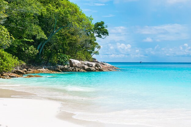 Praia com mar calmo e vegetação