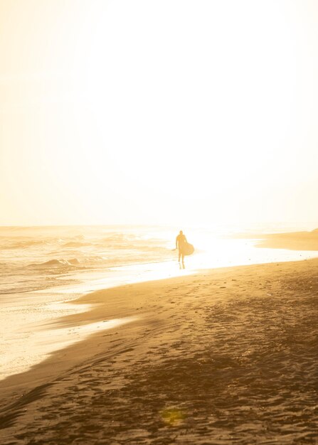 Foto grátis praia de areia ao lado do oceano pacífico