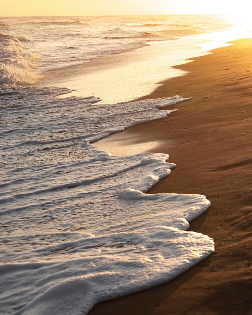 Praia de areia ao lado do oceano pacífico