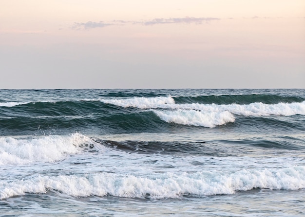 Foto grátis praia de areia ao lado do oceano pacífico