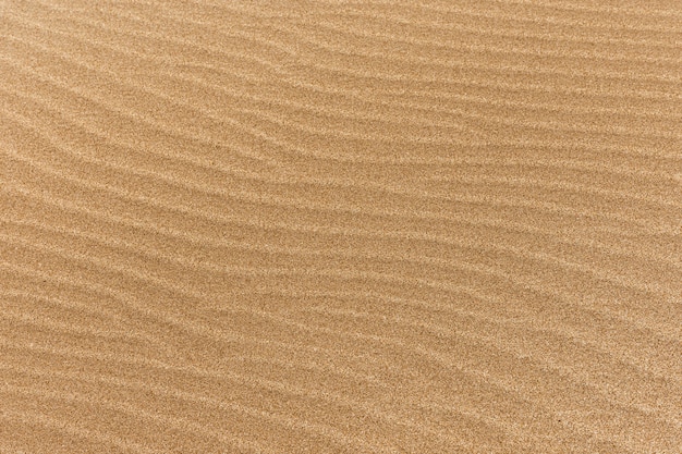 Praia de areia fina com ondas