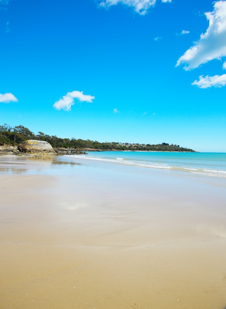 Foto grátis praia de areia vazia