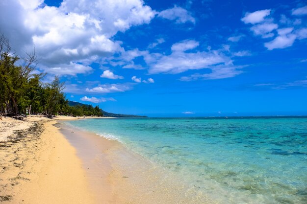 Praia de Clearwater perto da costa com árvores e nuvens em um céu azul