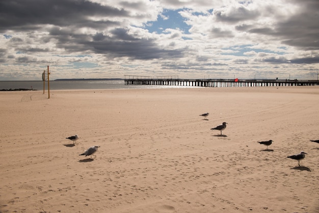 Praia de coney island