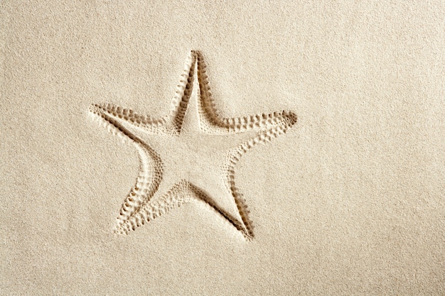 Praia estrela do mar imprimir branco caribe areia verão