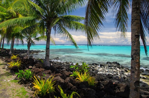 Praia rodeada de palmeiras e o mar sob o sol na Ilha Savai'i, Samoa