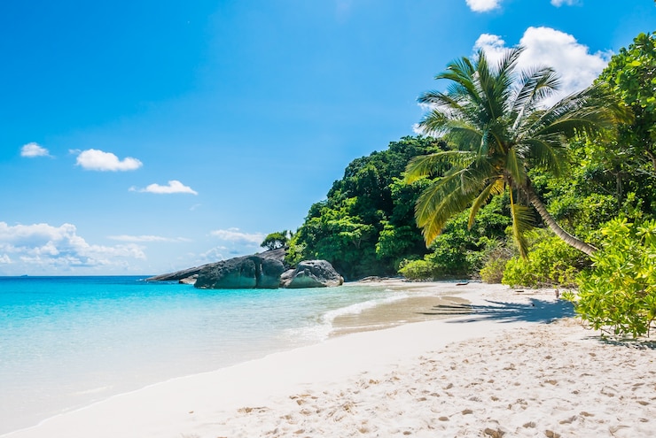 Foto grátis praia tropical com areia branca