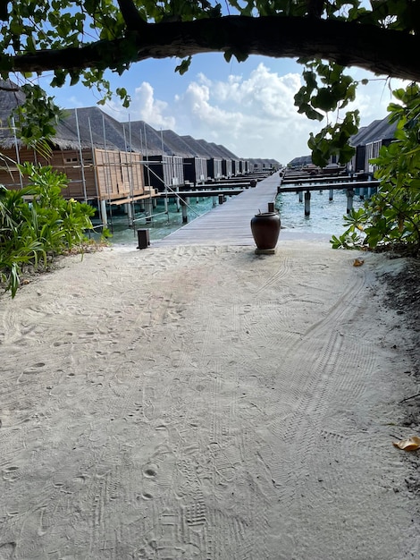 Foto grátis praia tropical com bungalows aquáticos nas maldivas