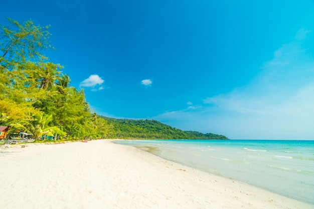 Foto grátis praia tropical de natureza linda