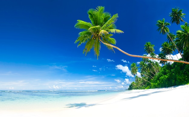 Praia tropical em Samoa