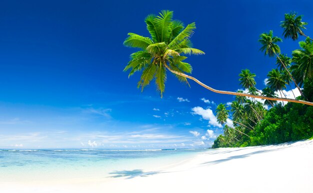 Praia tropical em Samoa