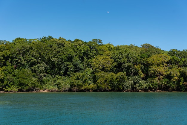 Foto grátis praia tropical em um dia ensolarado