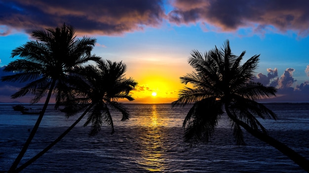 Praia tropical no pôr do sol com palmeiras de silhueta.