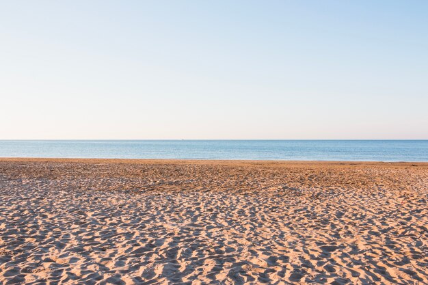 Praia vazia com pequenas dunas