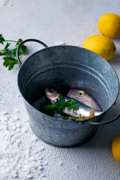 Processo de limpeza de frutos do mar na cozinha