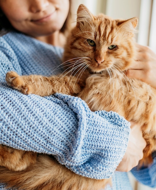 Proprietário acariciando gato adorável