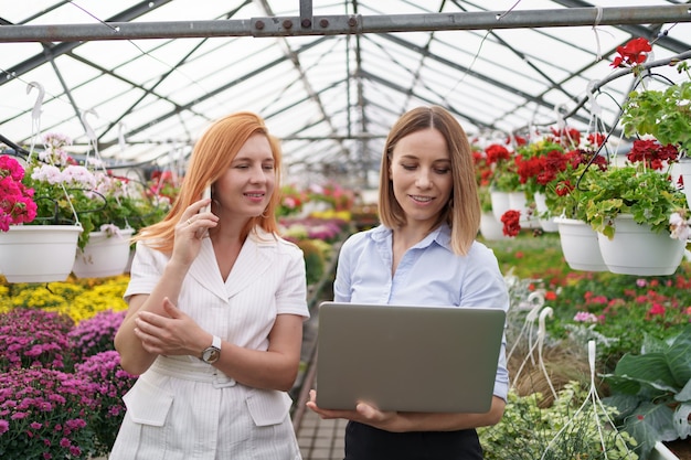 Proprietário de estufa apresentando opções de flores para um cliente varejista em potencial usando um laptop.