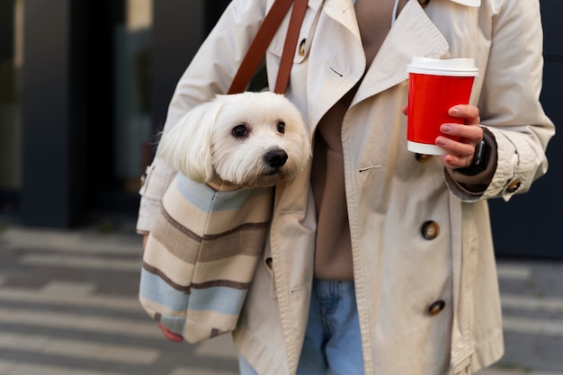 Foto grátis proprietário de vista frontal carregando cachorro na bolsa