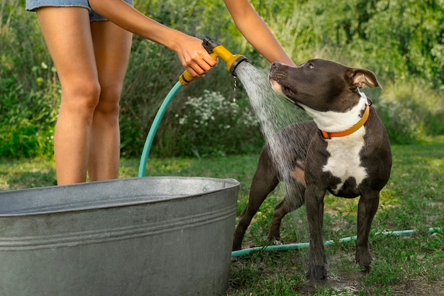 Foto grátis proprietário de vista lateral lavando cachorro fofo