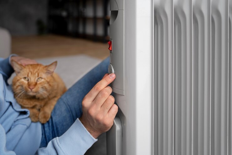 Foto grátis proprietário segurando gato e aumentando o calor