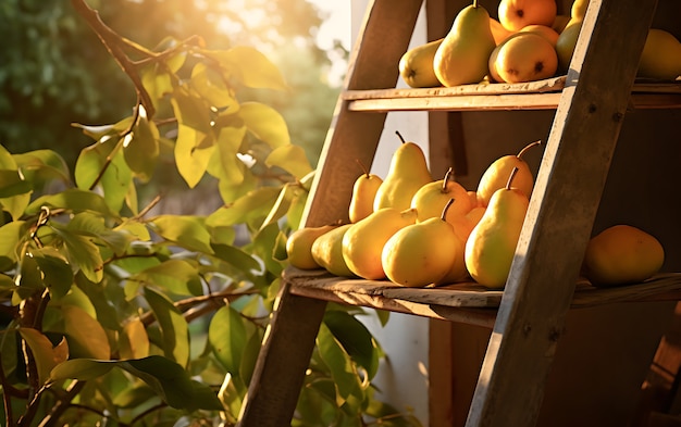 Foto grátis próximo plano das frutas sazonais da pera para o inverno