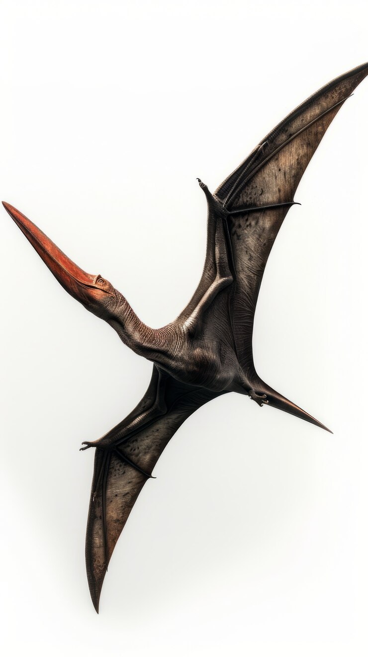 Foto grátis pterodáctilo dinossauro alado voando