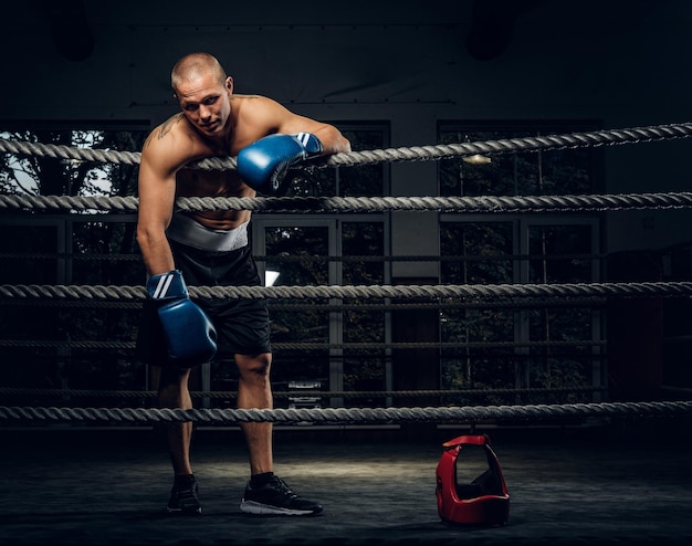 Foto grátis pugilista muscular cansado está descansando depois de sparring no ringue no ginásio escuro.