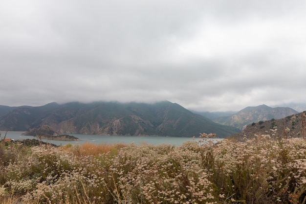 Pyramid lake, na califórnia, capturado em um dia nublado