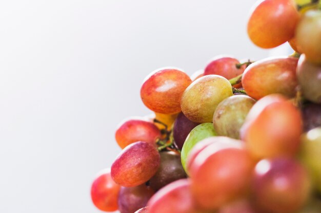 Quadro completo de fatias de frutas cítricas triangulares em fundo branco