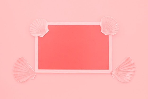 Foto grátis quadro de coral branco decorado com conchas de vieiras em fundo rosa