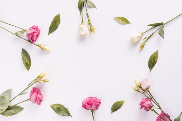 Foto grátis quadro de flores rosas e folhas